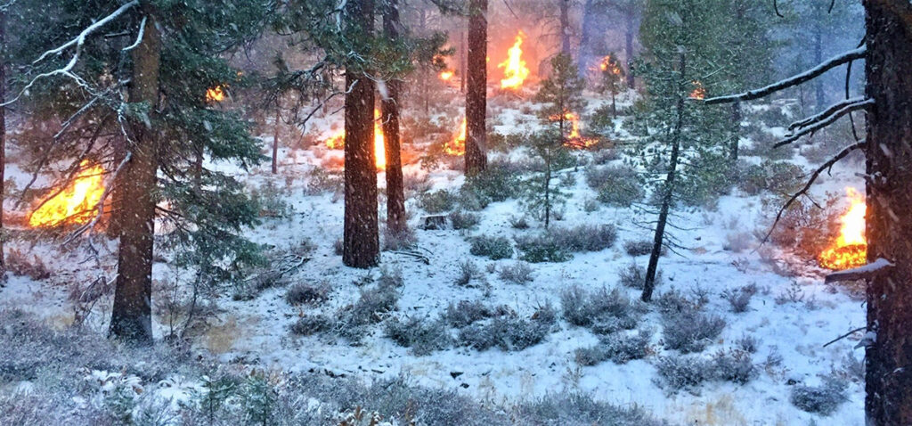 controlled burn